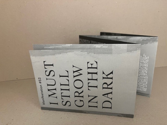 manifestation # 53 – Buro Stedelijk Central Space