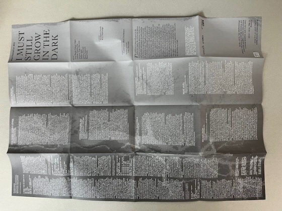 manifestation # 53 – Buro Stedelijk Central Space