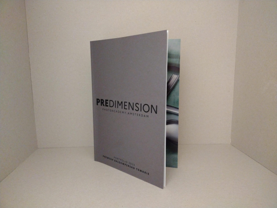 predimension – Prewesh Baldewpersad Tewarie photoacademy