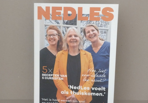 Nedles magazine