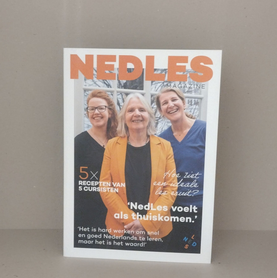 Nedles magazine
