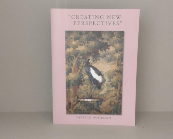 Creating new Perspectives – Patrice Dodeman – Galerie The Fox