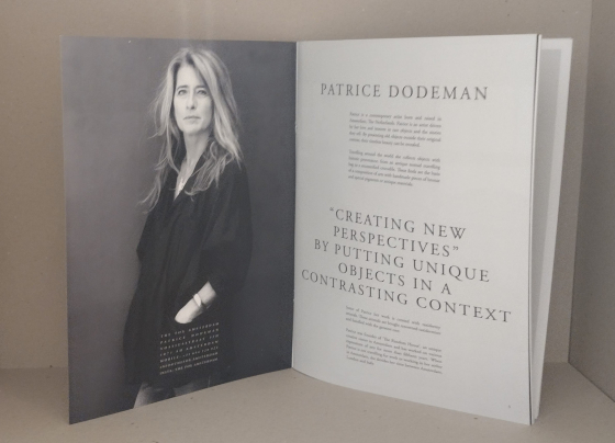 Creating new Perspectives – Patrice Dodeman – Galerie The Fox