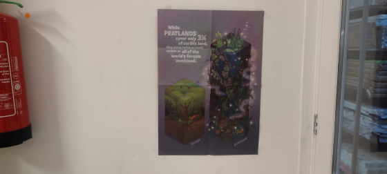 Gestolen voor winst – Rechtvaardigheid voor veengebieden – Oeroude ecosystemen – Onvervangbare koolstofopslag