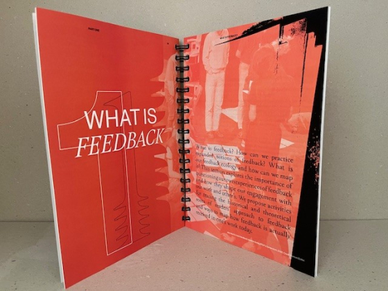 a queer feedback handbook