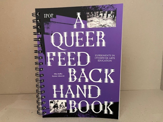 a queer feedback handbook