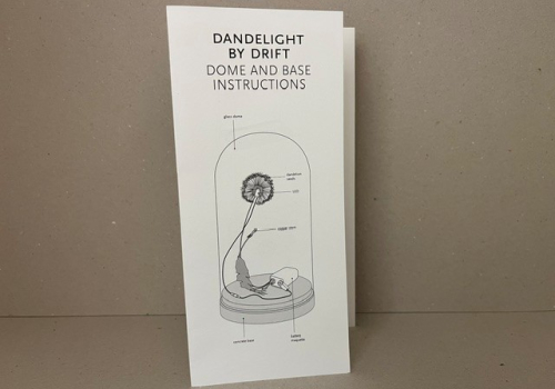 dandelight by drift