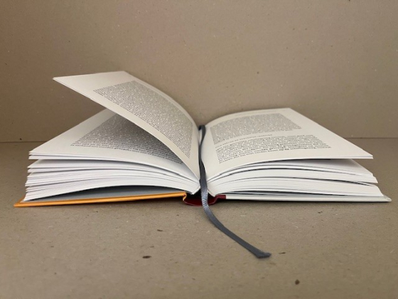 De weg tot inzicht in hogere werelden   Rudof Steiner