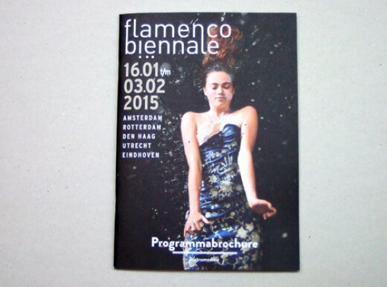flamenco biennale