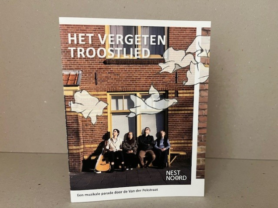 het vergeten troostlied