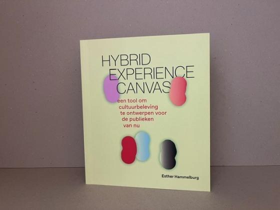 hybrid experience canvas