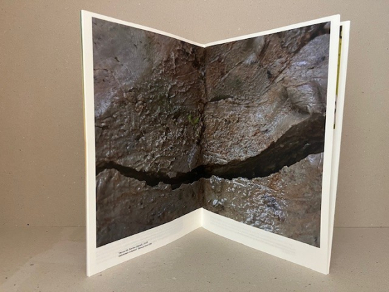 buitenplaats Kasteel Wijlre