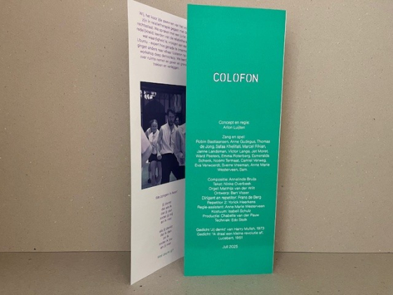 Kunstparade nr 4      graniet