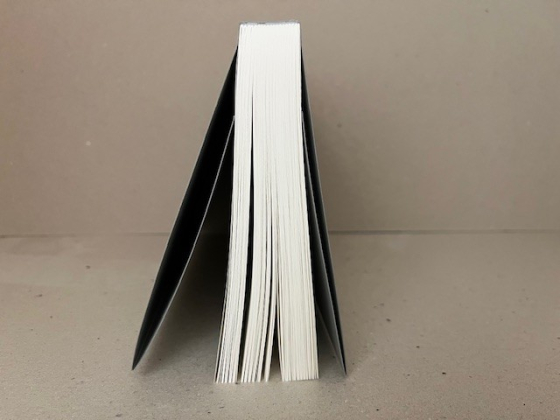 De oosthoek van de Melkweg