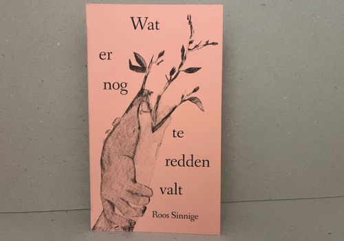 wat er nog te redden valt