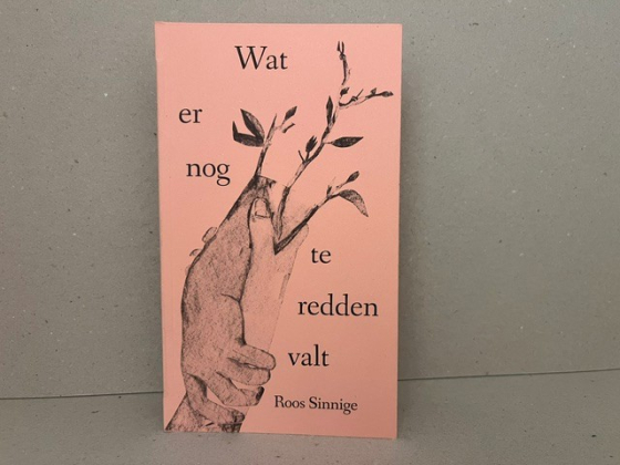 wat er nog te redden valt